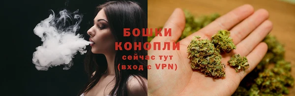 молекула духа Бронницы