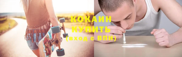 молекула духа Бронницы