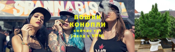 молекула духа Бронницы