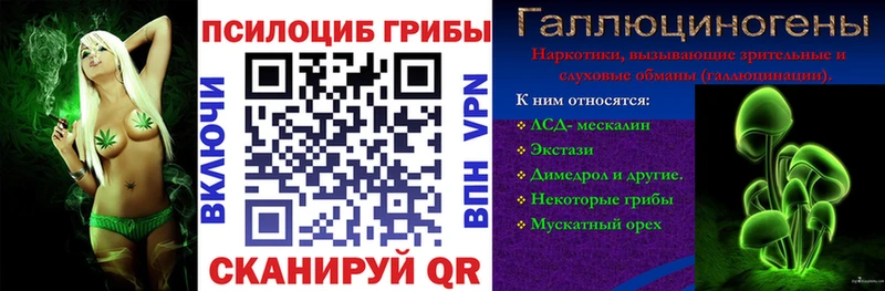 Псилоцибиновые грибы Psilocybine cubensis  Гуково 
